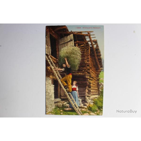 Carte postale Suisse Wildheur's Heimkehr