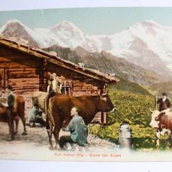 Carte postale Suisse Dans les Alpes Auf hoher Alp