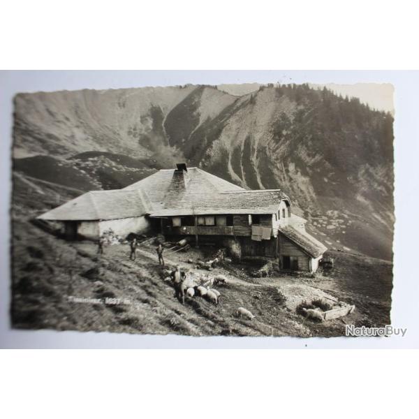 Carte postale Suisse Tissinivaz 1637 m.