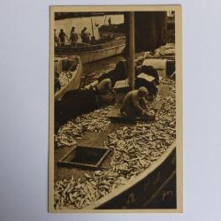 CPA France - Finistère 29 - Douarnenez Triage de la pêche