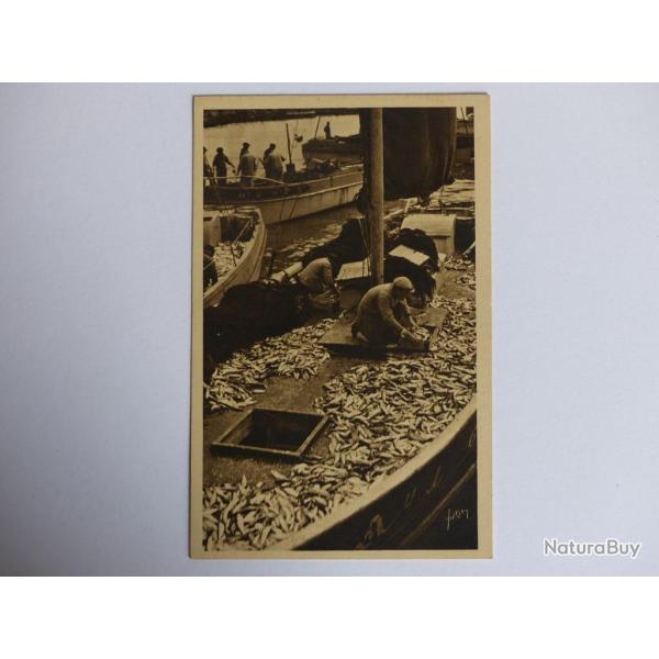 CPA France - Finist�re 29 - Douarnenez Triage de la p�che