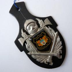 Insigne Pompier Corsier