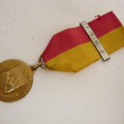 Décoration Corps des Pompiers Tisino Argent