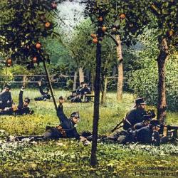 CPA Militaria Suisse Guerre Infanterie Mitrailleurs in Aktion 1914/15