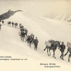 CPA Militaria Soldats R&eacute;giment Suisse Artillerie de montagne col chevaux