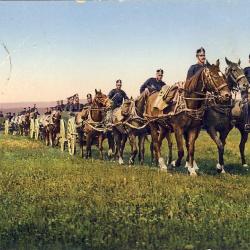 CPA militaria Arm&eacute;e Suisse Artillerie Cavalerie 1915