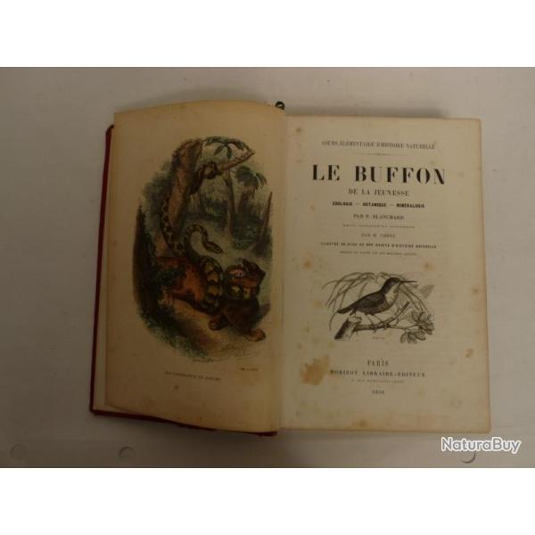 Livre Le Buffon de la Jeunesse BLANCHARD Histoire Naturelle 1859
