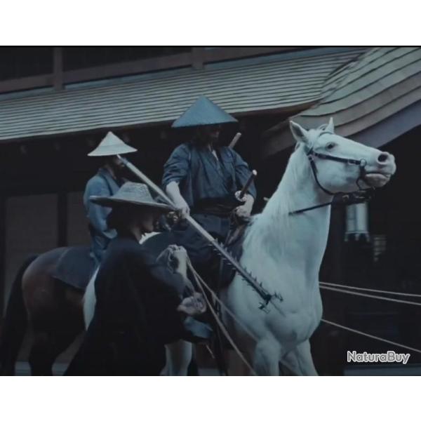 Antiquit� Edo Grand Sodegarami Samurai