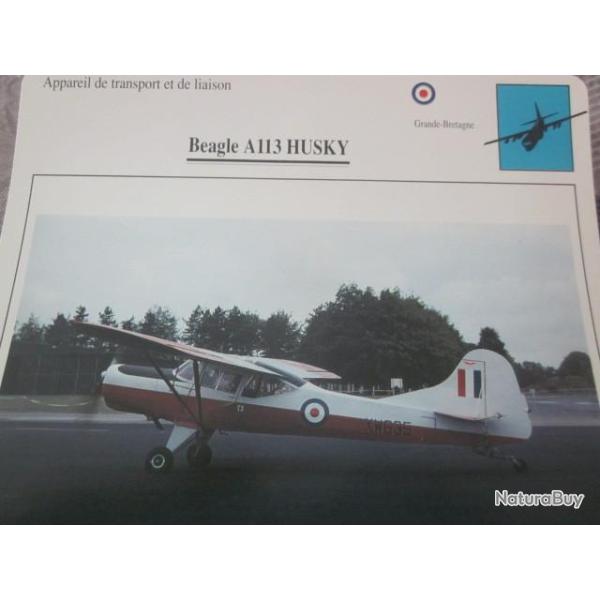 FICHE  AVIATION  TYPE TRANSPORT ET DE LIAISON  /  BEAGLE A 113 HUSKY  G BRETAGNE