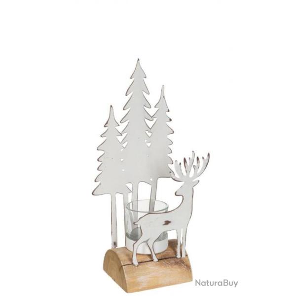 PHOTOPHORE MTAL BLANC CERF ET FORT