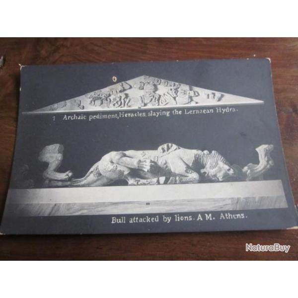 CP  GRECE BULL ATTACKED BY LIONS