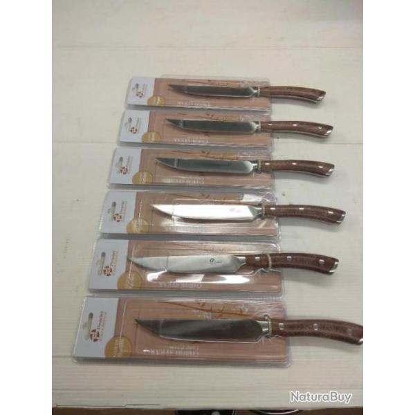 Lot de 6 couteaux Pradel