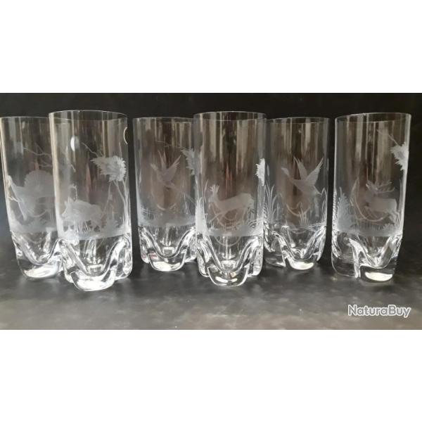 VERRES � LONGDRINK GRAV�S CHASSE