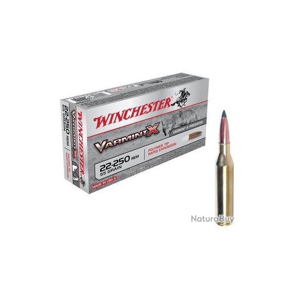 Munitions Winchester Varmint X 22-250rem 55gr 3.56g par 20