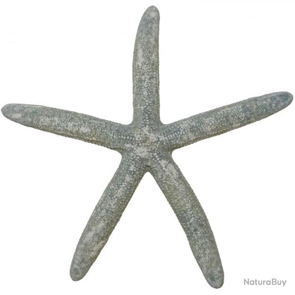 Etoile de mer linckia laevigata gris bleu 30 � 34 cm