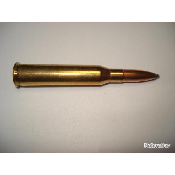 une cartouche de 6,5x57R ogive demi blind�e pour collection