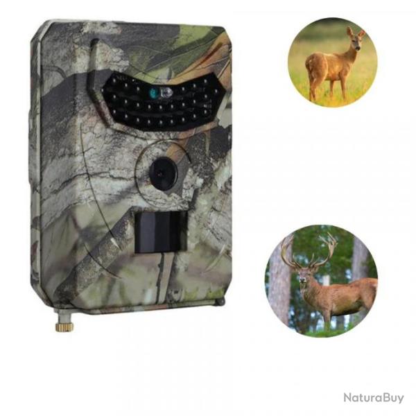 Camra De chasse 12MP Vido Full HD 1080P Vision Nocturne Eclairage Flash Infrarouge Invisible