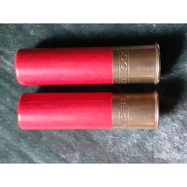 Rare 1 cartouche de collection carton FIOCCHI cal.10 magnum /85 mm (810) plb OO