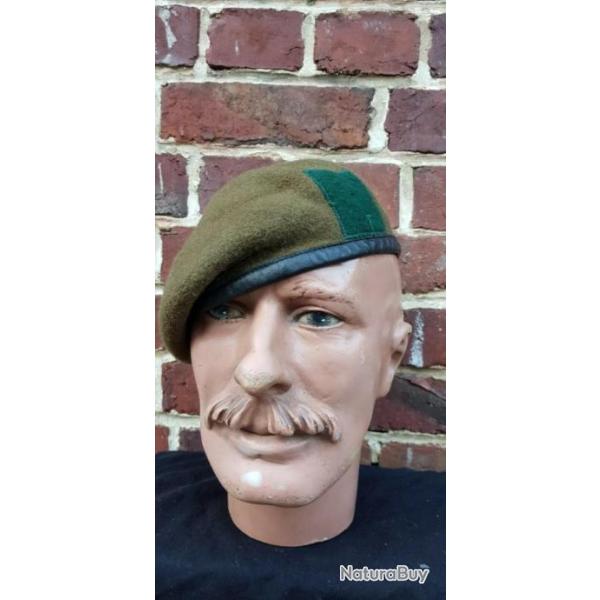 Bret Britannique du Yorkshire Rgiment  - Tour de tte 56 cm