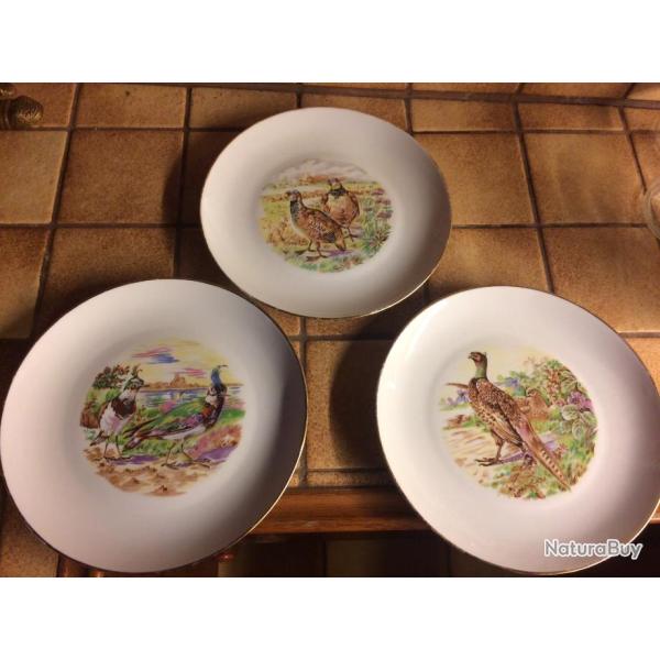 Belles assiettes de Limoge d�coratives faisan vanneau perdrix