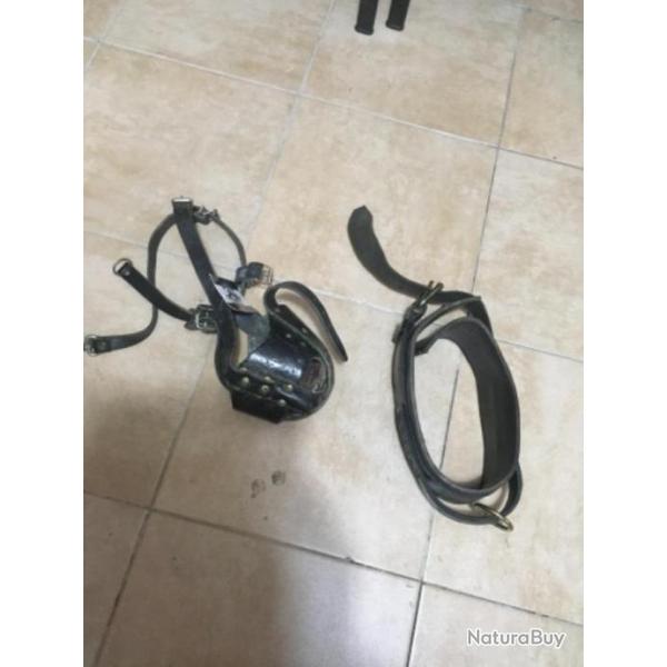 Ensemble collier d'intervention LARGE + Museli�re de frappe