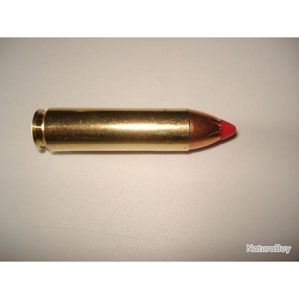 une cartouche de 450 bushmaster de marque hornady ogive FTX pour collection