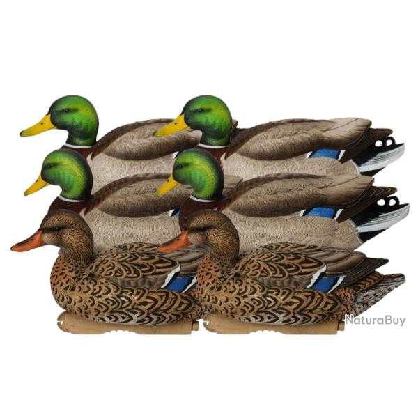 Pack 6 appelants colverts actifs HD GHG Pro-grade XD series