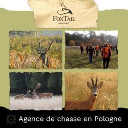 BROCARDS EN POLOGNE (2 prix) Ville Olawa