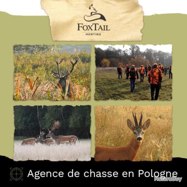 BROCARDS EN POLOGNE (2 prix) Ville Olawa