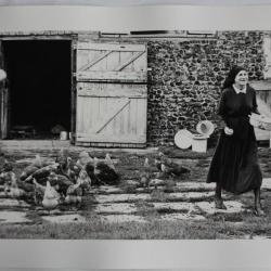 Photographie d'art JAN NEUMAN Poules Roumanie