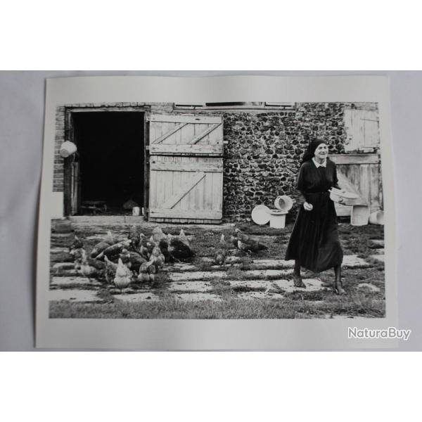 Photographie d'art JAN NEUMAN Poules Roumanie