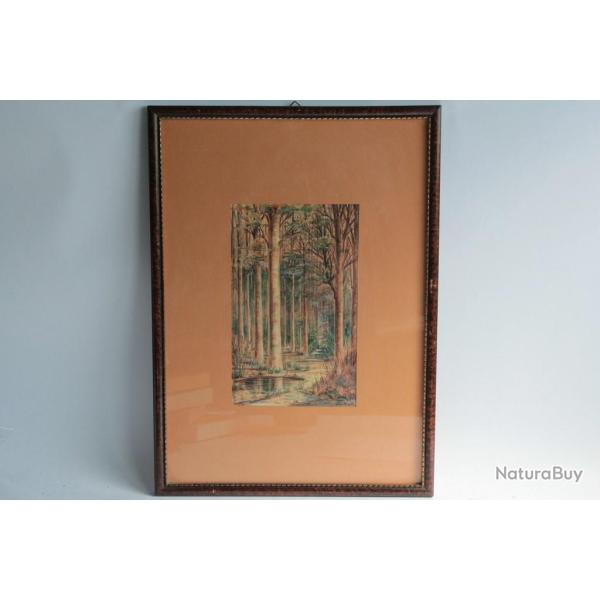 Tableau Aquarelle Sous bois L. Taponnier