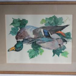 Aquarelle originale Jean Edmond BURNAND Canard