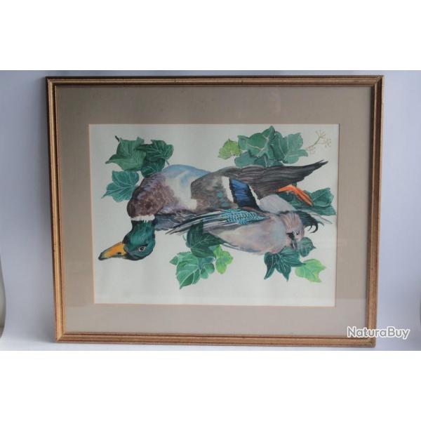 Aquarelle originale Jean Edmond BURNAND Canard