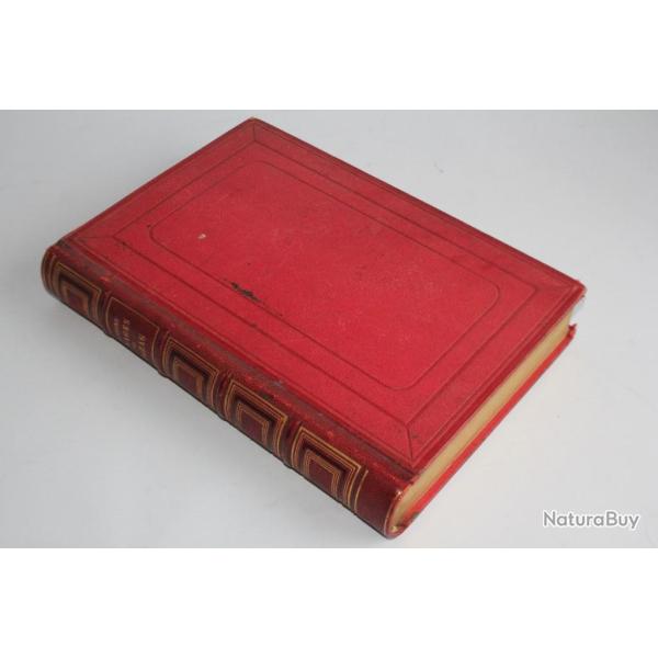 Livre Premier voyage en Zigzag Tpffer 1885 Alpes suisses