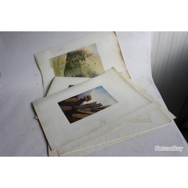 Aquarelles Paysages de montagne Suisse XIXe sicle Alpes valaisannes