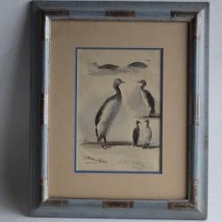 Aquarelle Oiseau lac Peintre animalier Naturaliste