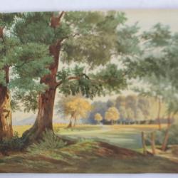 Aquarelle originale Paysage boisé