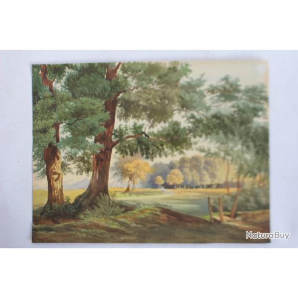 Aquarelle originale Paysage bois