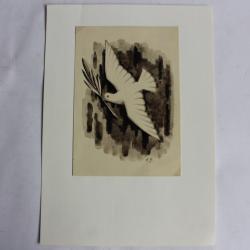 Dessin original encre Colombe paix rameau olivier