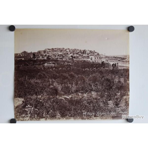 Photo BONFILS Palestine Vue de Jaffa pr�s des jardins