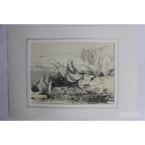 Dessin original au crayon