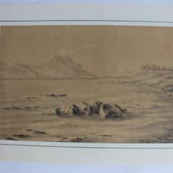 Ancien dessin original a la mine de plomb