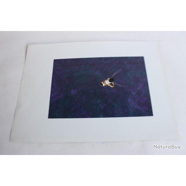 Ancien dessin original bijoux