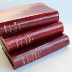 Livre  Histoire de la littérature Française  F.Brunetiere 1921