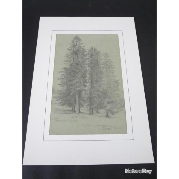 Dessin original au crayon Sapins 1873