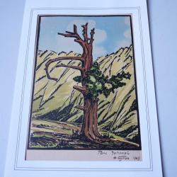 Dessin original Parc National H.Gros 1949