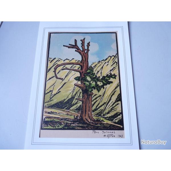 Dessin original Parc National H.Gros 1949