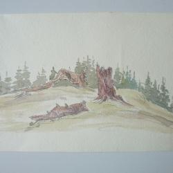 Dessin original aquarelle