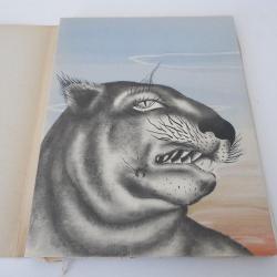 Livre Le bain avec Andromède DESNOS Robert Labisse